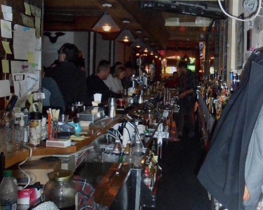 The long bar at Albion Bar